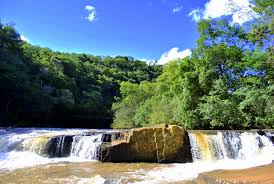 parque municipal.jpg